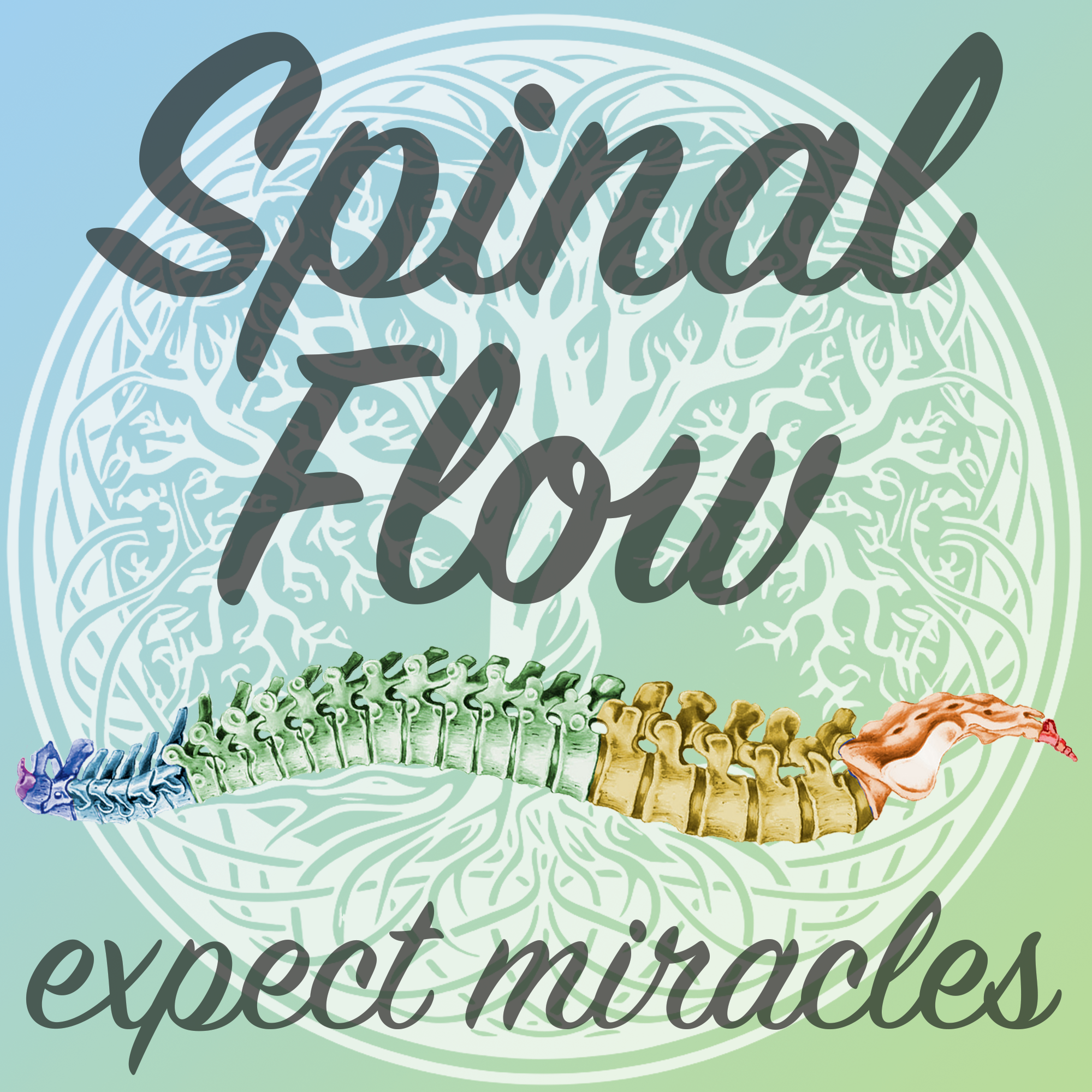 Spinal Flow Srbija